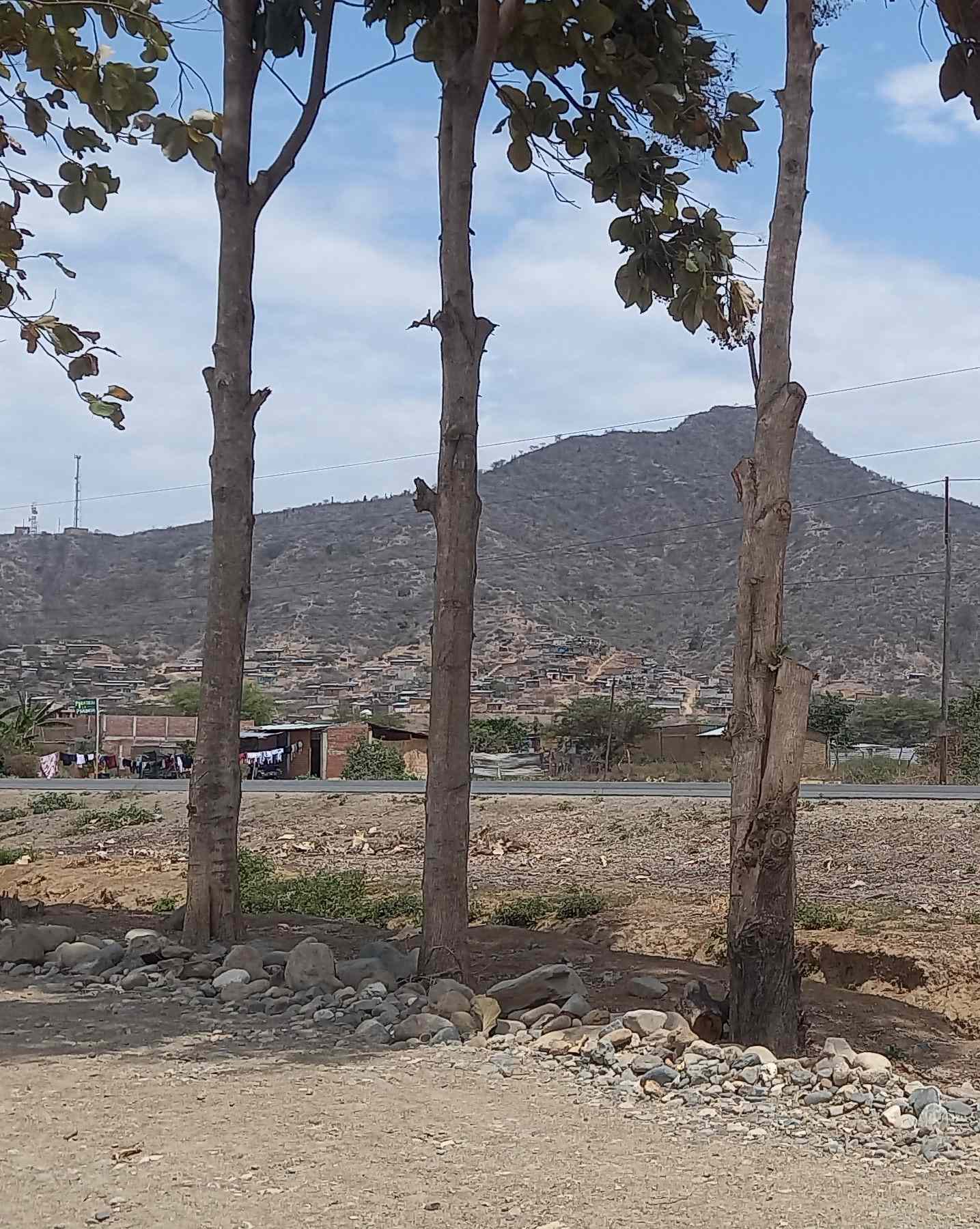 Lote 1